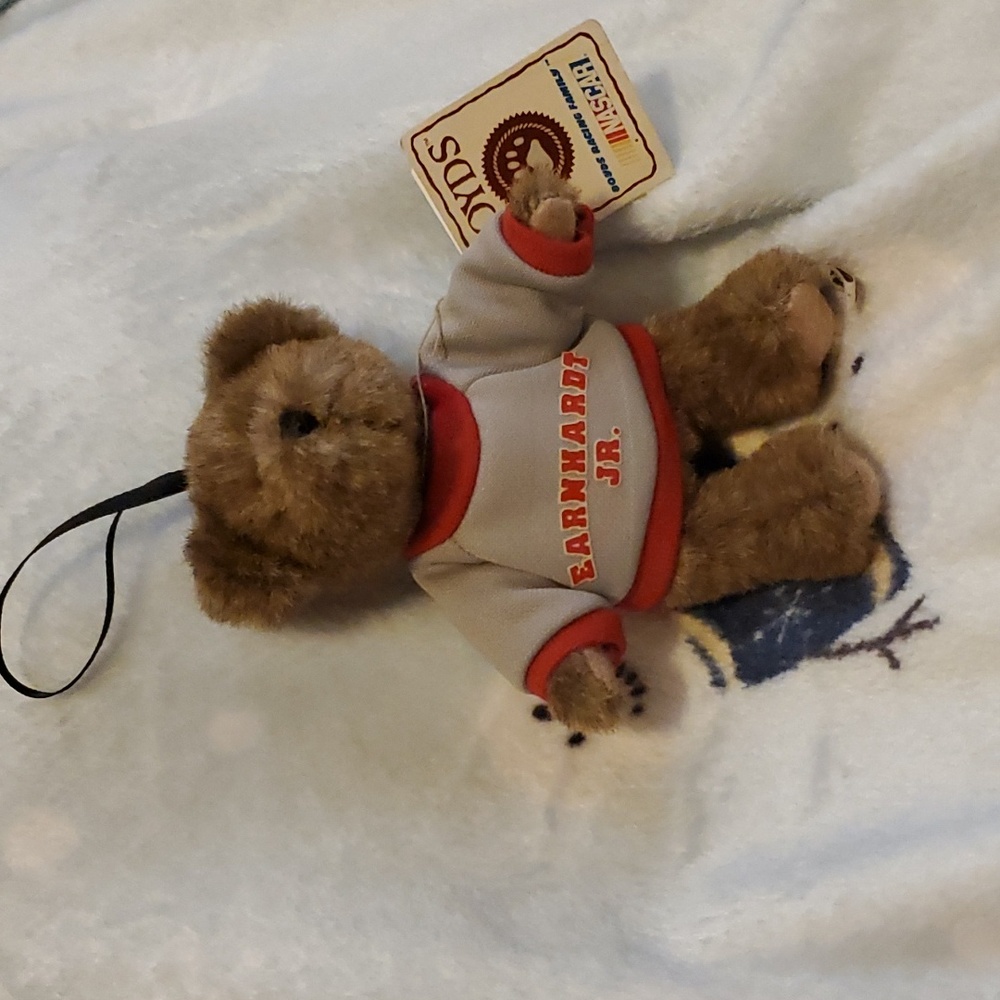 Boyds bear Dale Jr. Bear